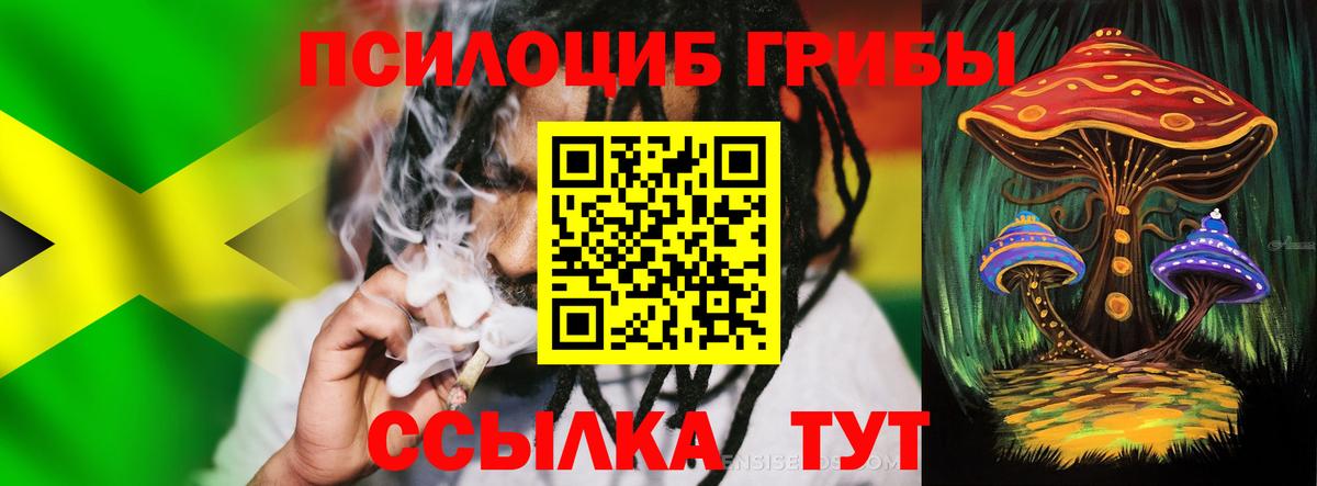 Галлюциногенные грибы Magic Shrooms Большой Камень